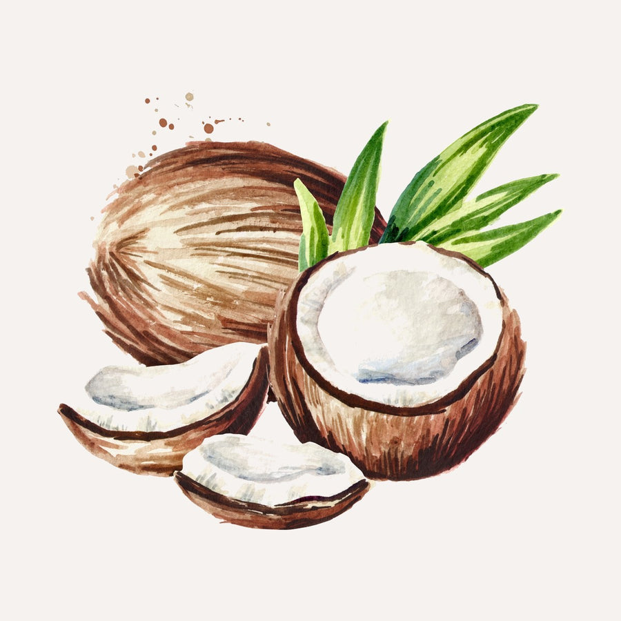 Bio-Kokosöl