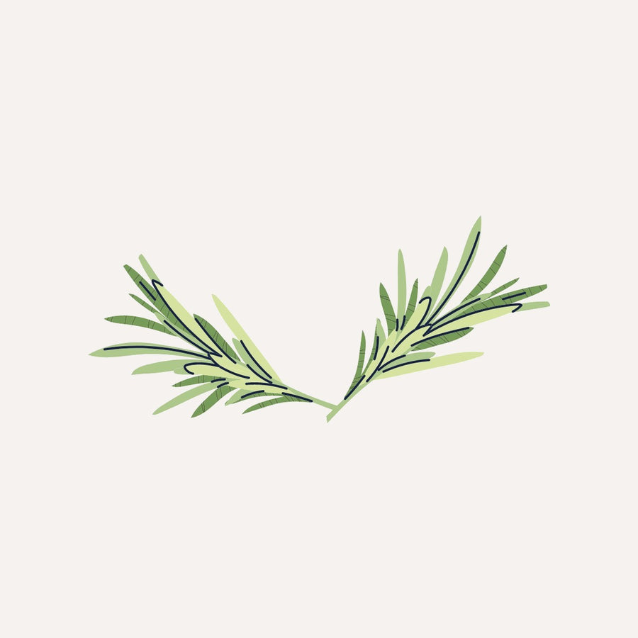 Bio-Rosmarinextrakt