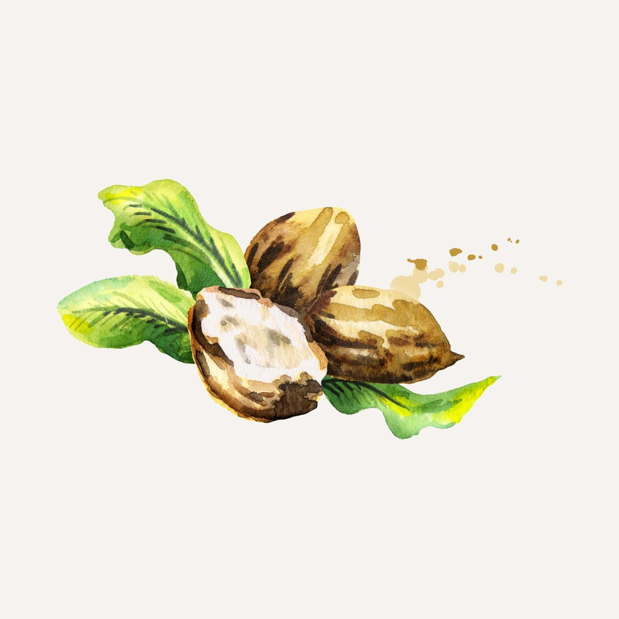 Bio-Sheabutter
